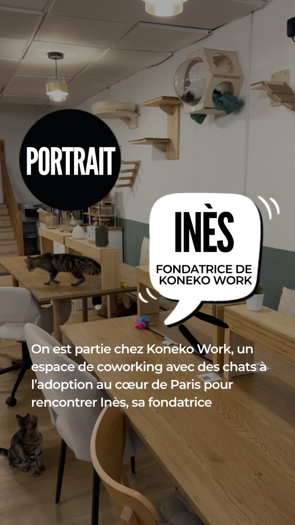 Inès a créé @konekowork , un espace de...